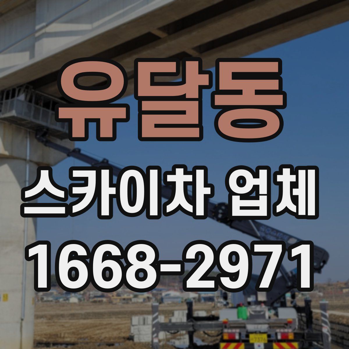 유달동 스카이차 업체