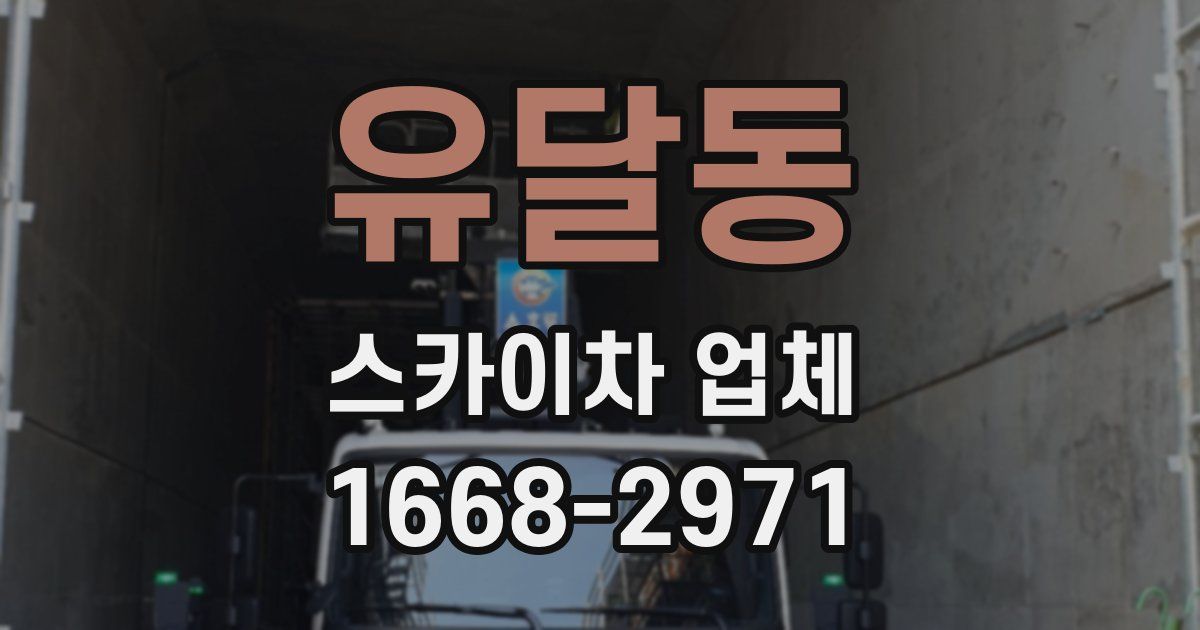 유달동 스카이차 업체