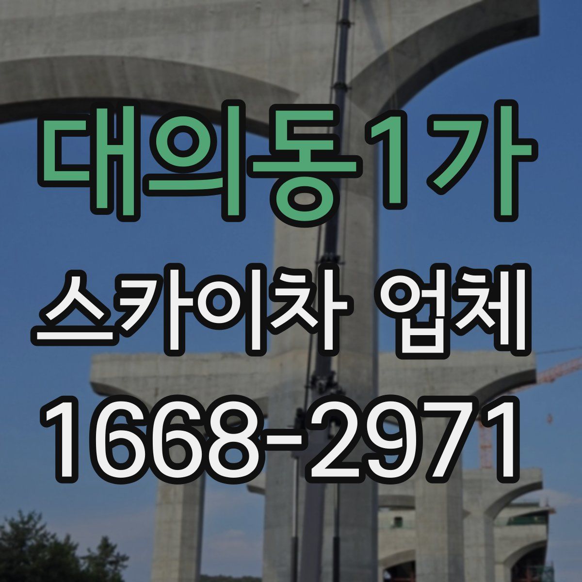 대의동1가 스카이차 업체