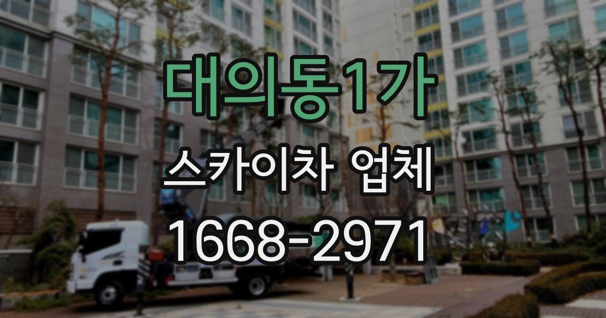 대의동1가 스카이차 업체