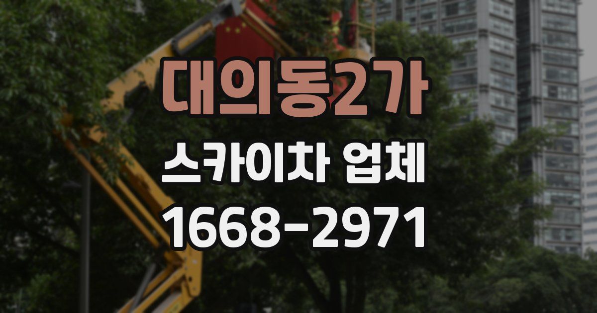대의동2가 스카이차 업체