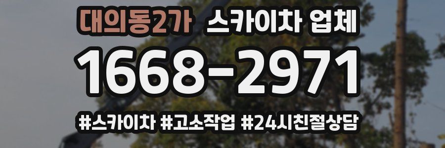 대의동2가 스카이차 업체