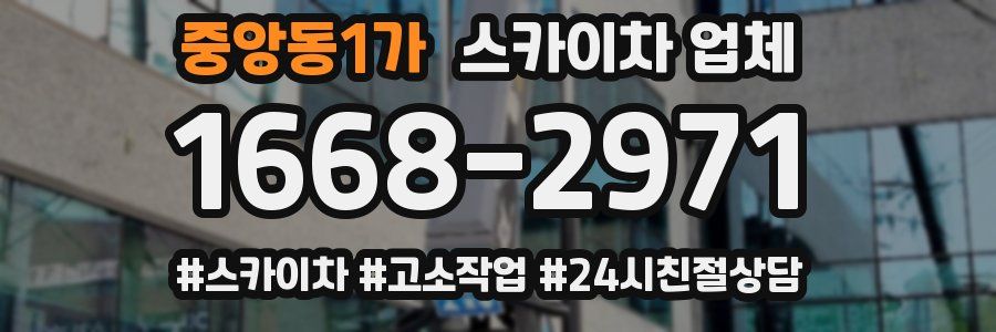 중앙동1가 스카이차 업체