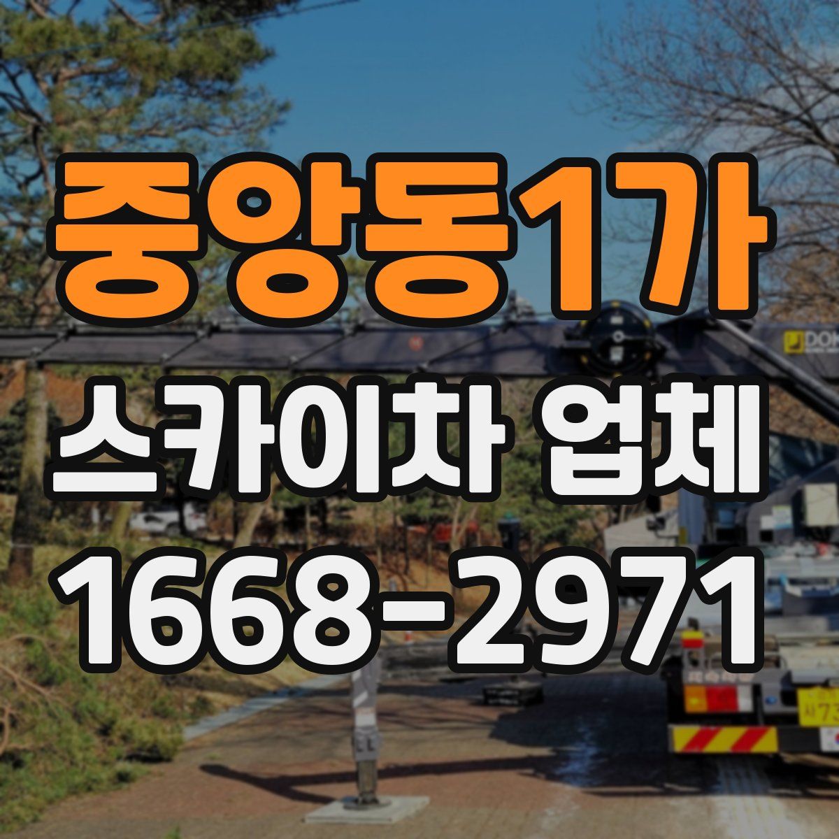 중앙동1가 스카이차 업체