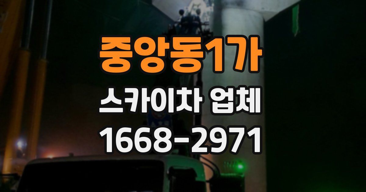중앙동1가 스카이차 업체
