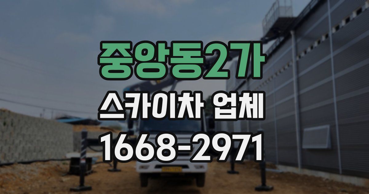 중앙동2가 스카이차 업체