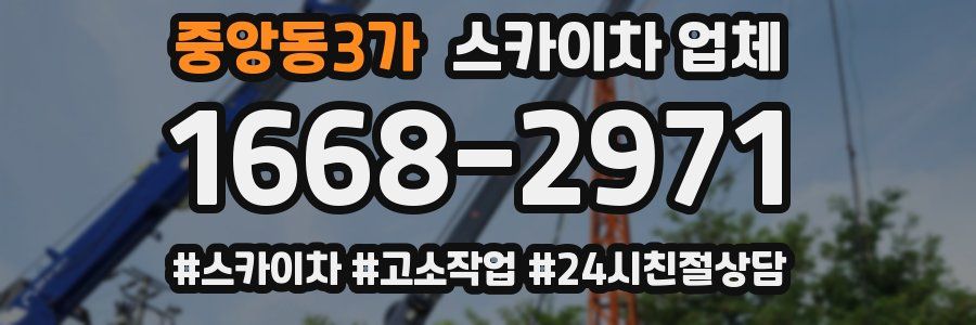 중앙동3가 스카이차 업체