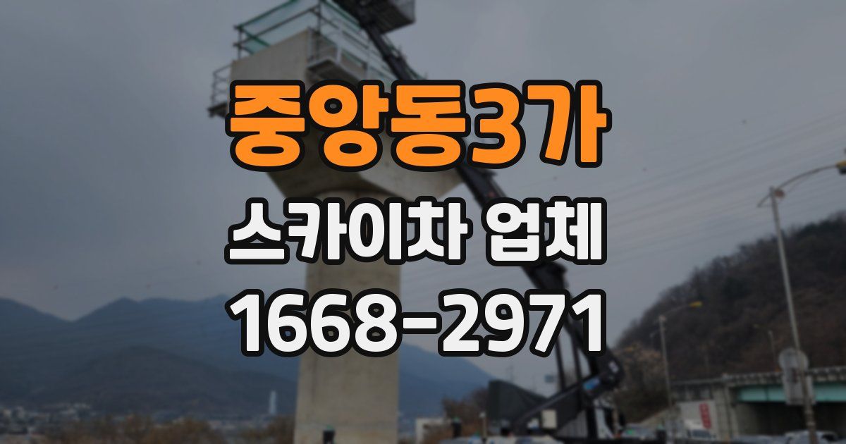 중앙동3가 스카이차 업체