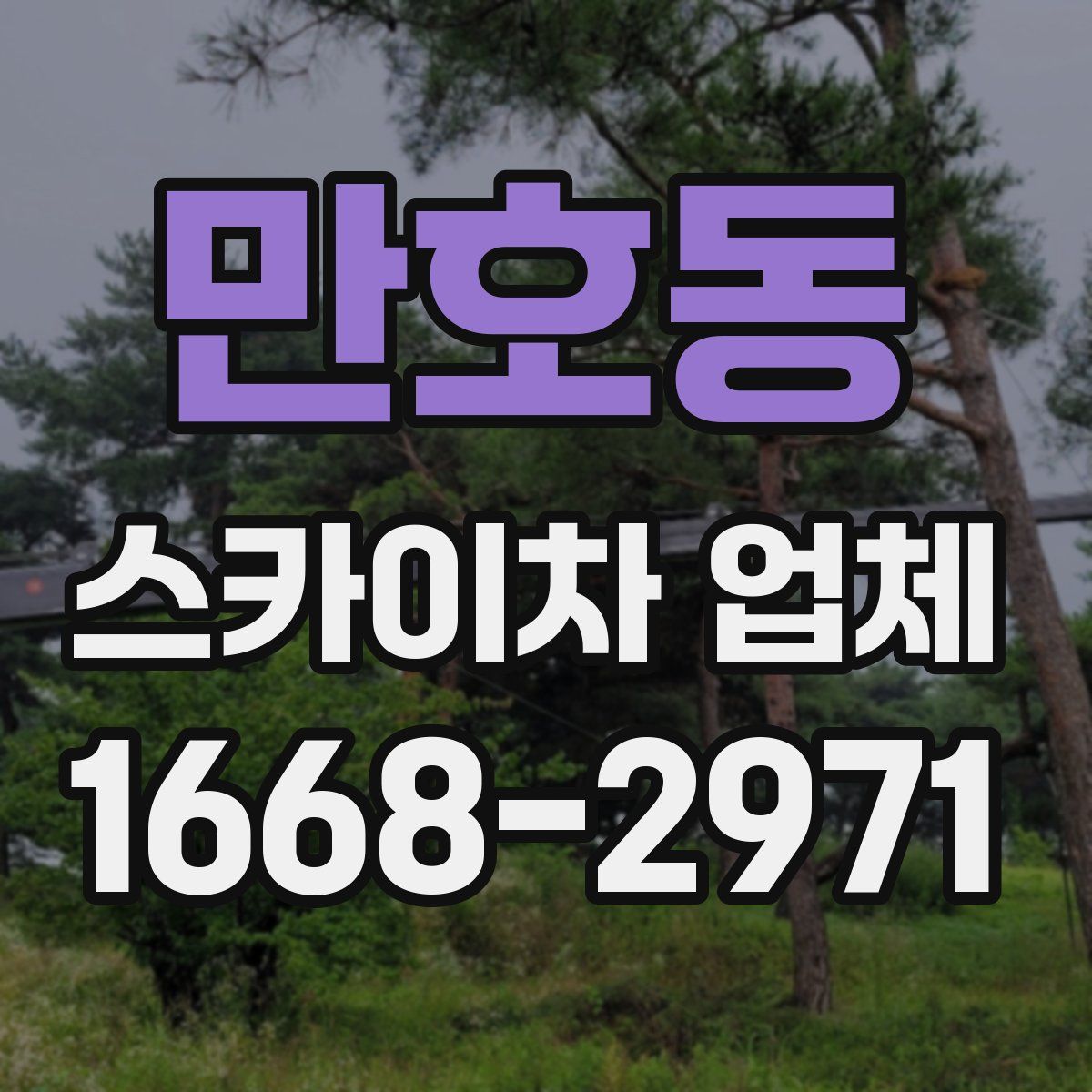 만호동 스카이차 업체