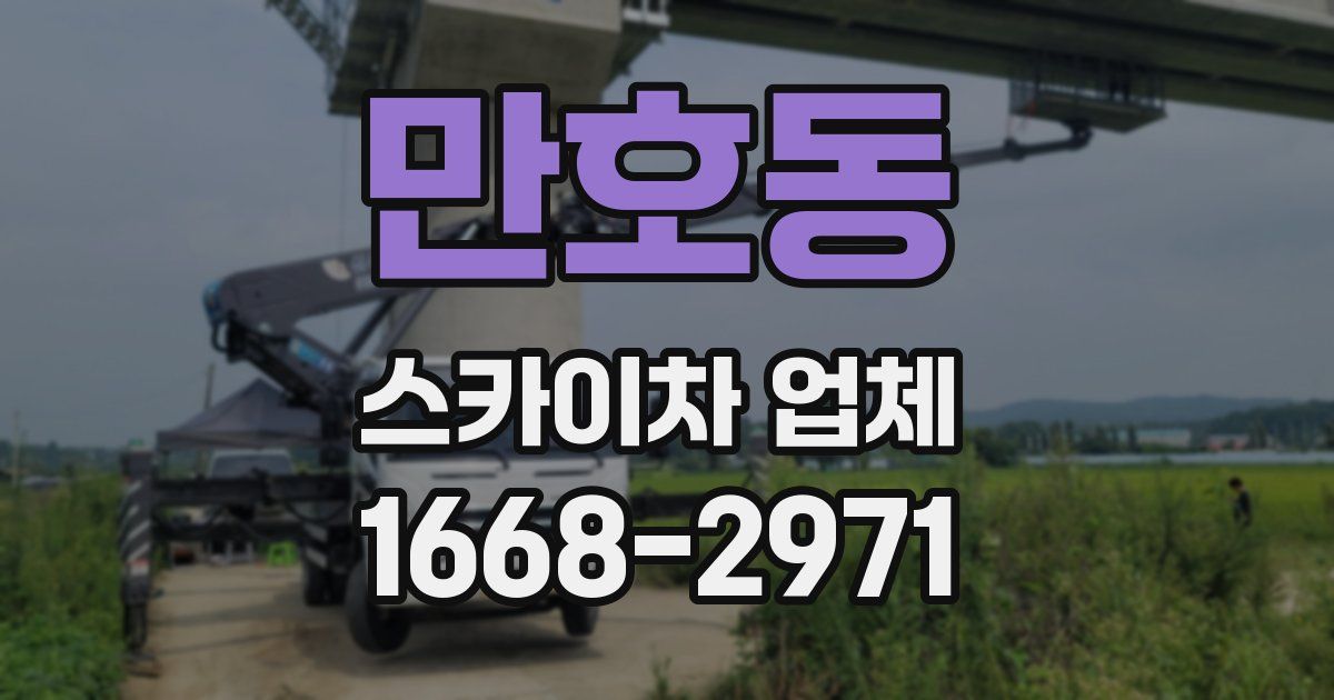 만호동 스카이차 업체