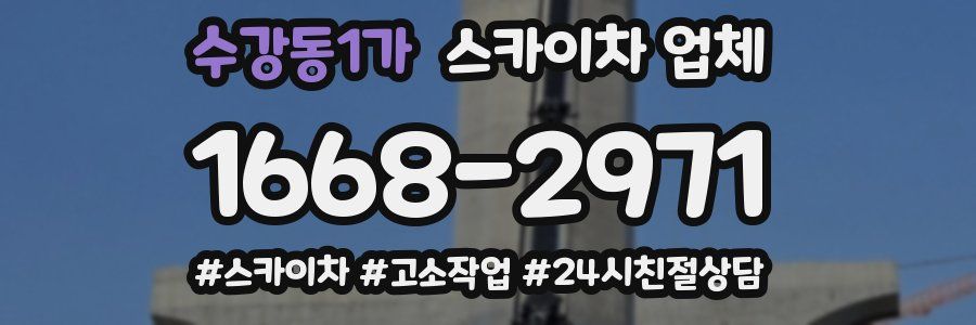 수강동1가 스카이차 업체