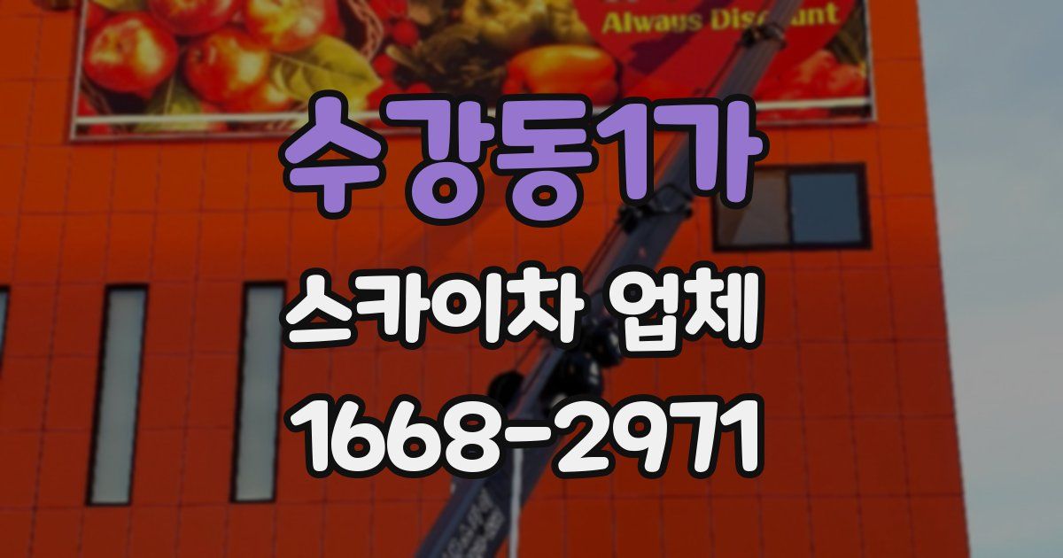 수강동1가 스카이차 업체