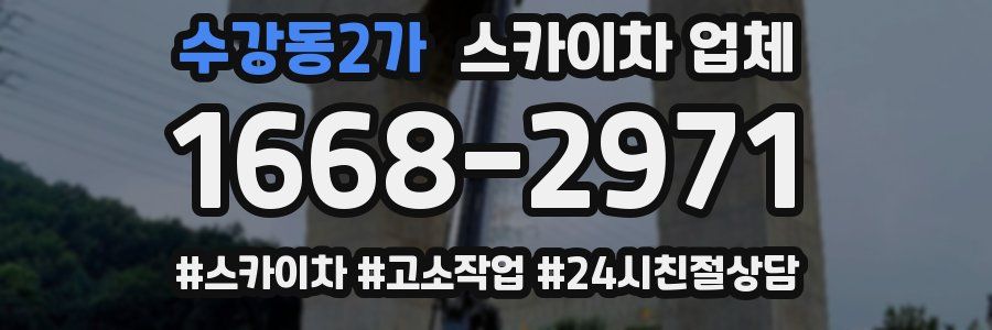 수강동2가 스카이차 업체
