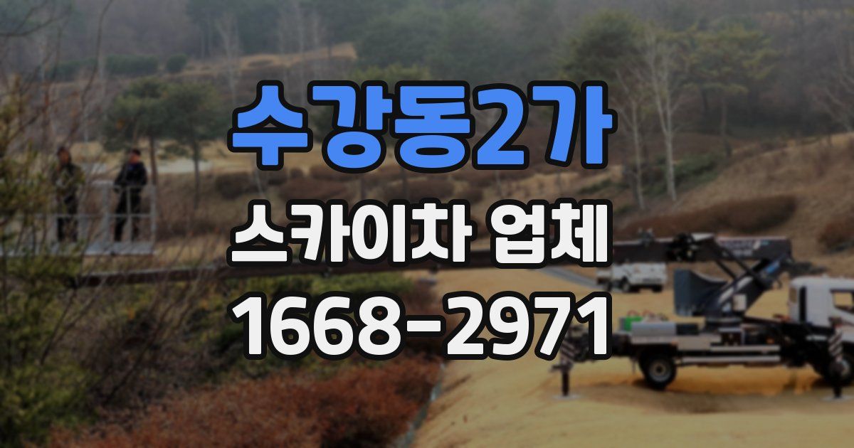 수강동2가 스카이차 업체