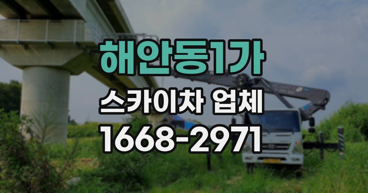 해안동1가 스카이차 업체