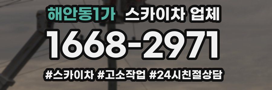 해안동1가 스카이차 업체