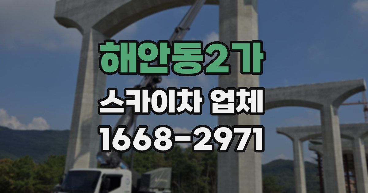 해안동2가 스카이차 업체