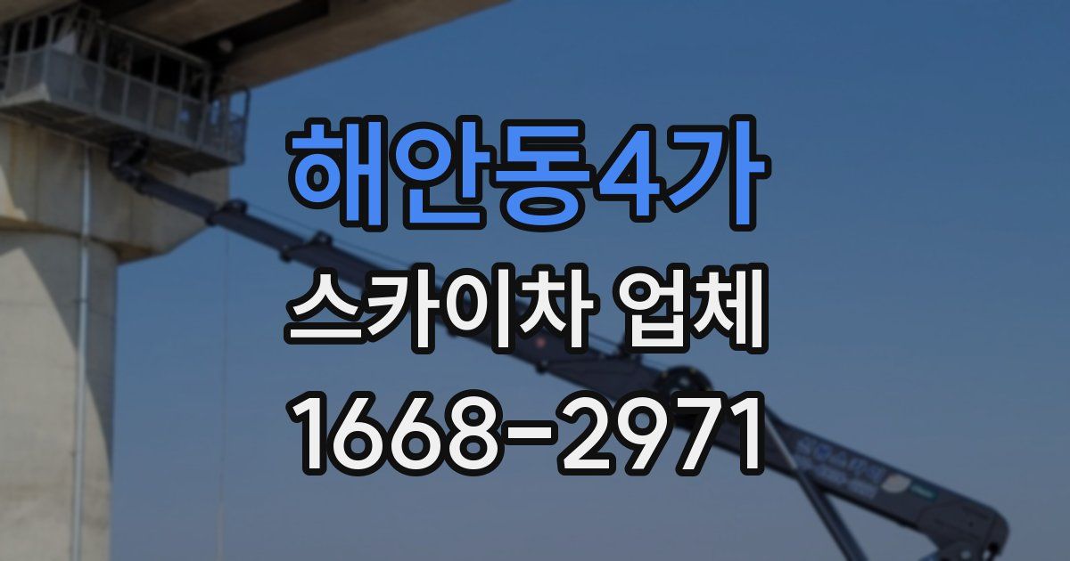 해안동4가 스카이차 업체