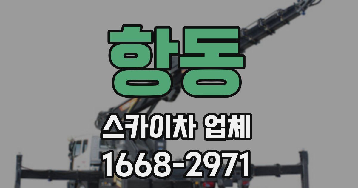 항동 스카이차 업체