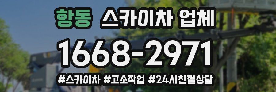 항동 스카이차 업체
