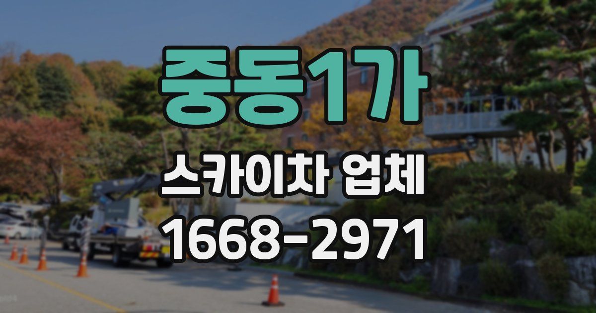 중동1가 스카이차 업체