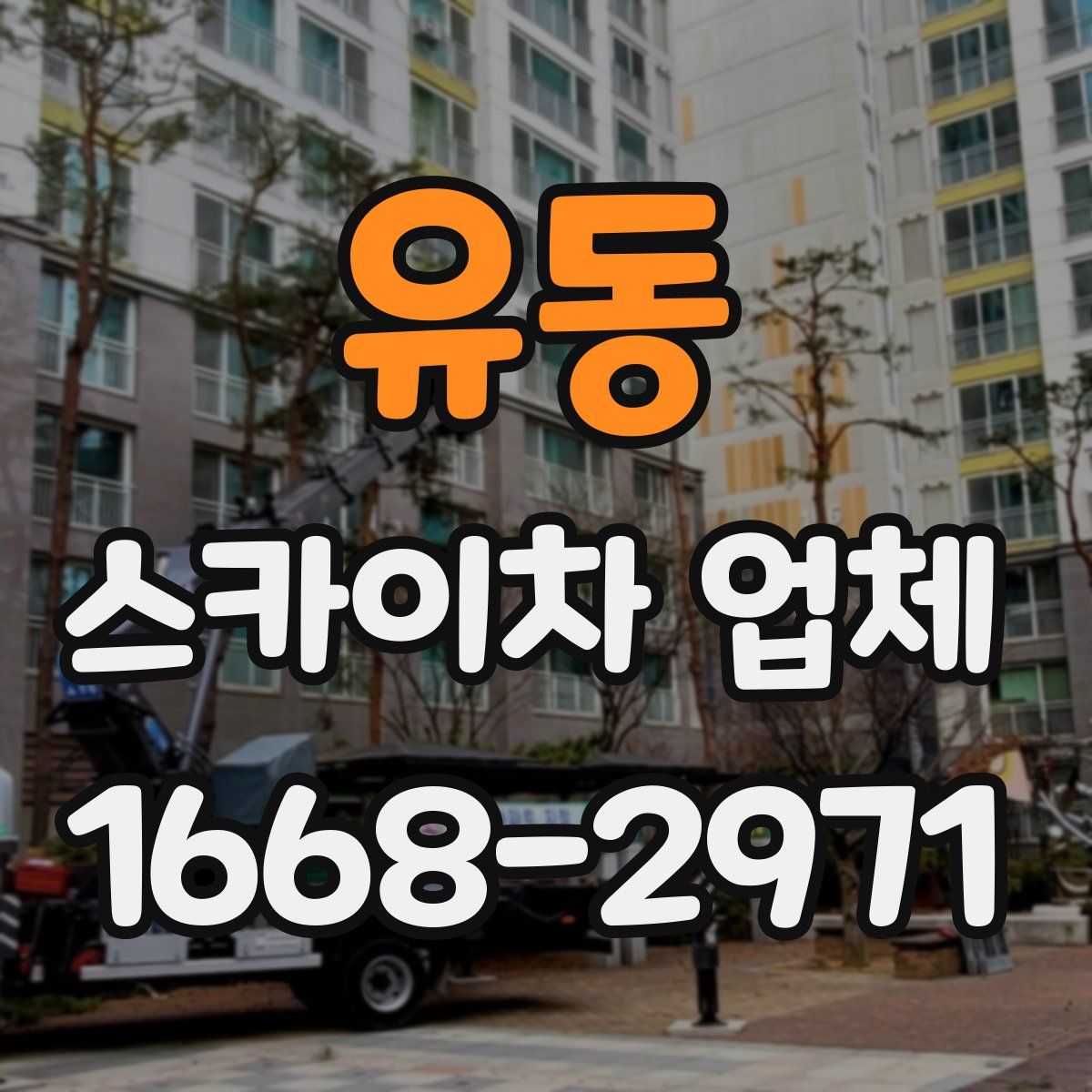 유동 스카이차 업체