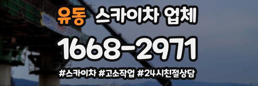 유동 스카이차 업체