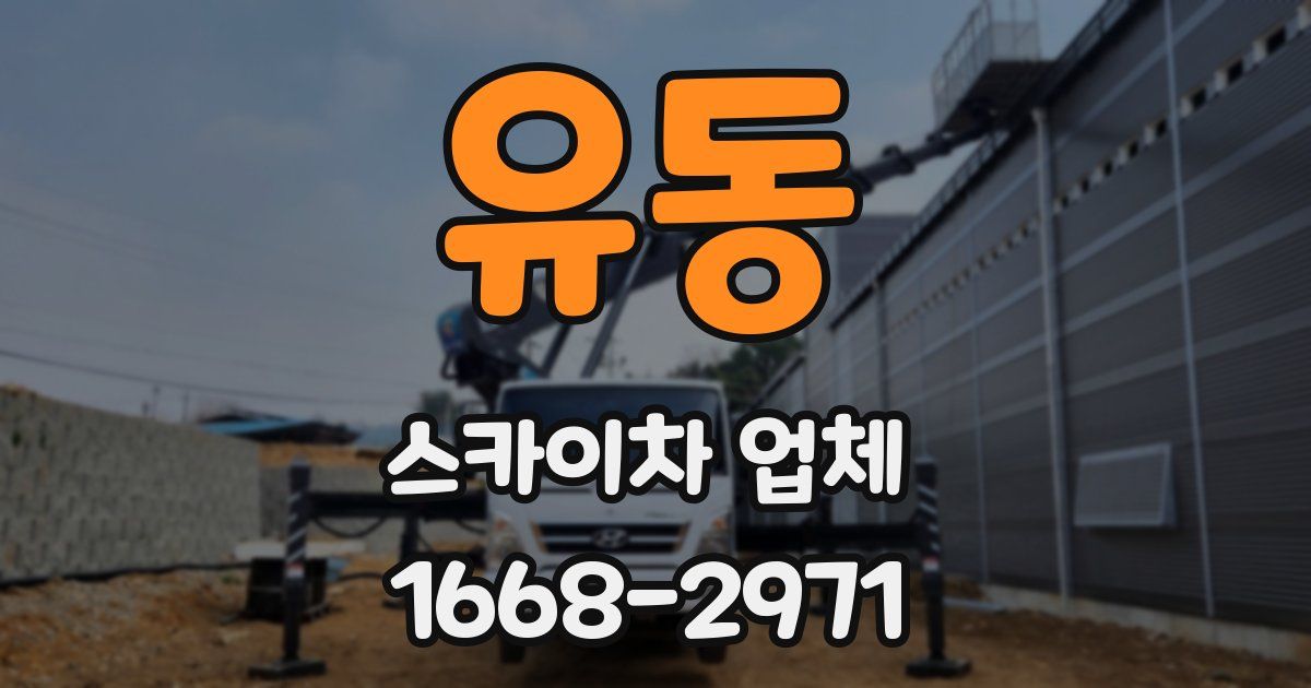 유동 스카이차 업체