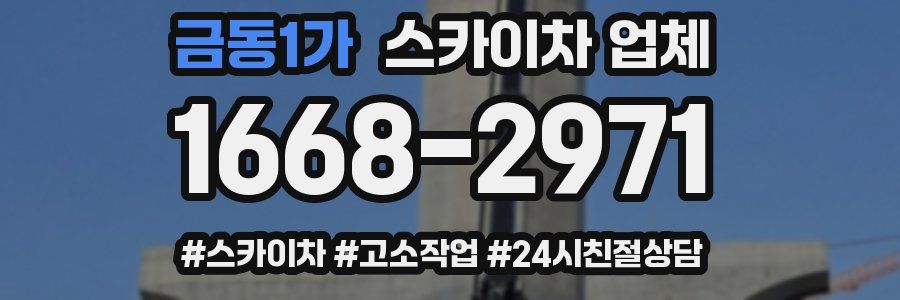 금동1가 스카이차 업체