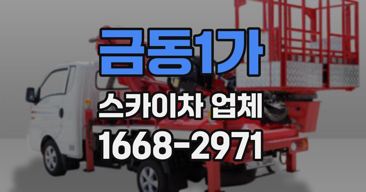 금동1가 스카이차 업체