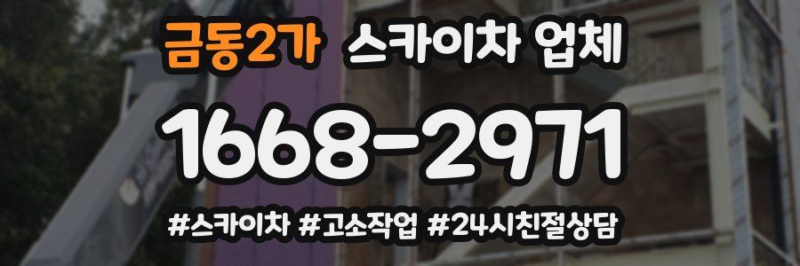 금동2가 스카이차 업체