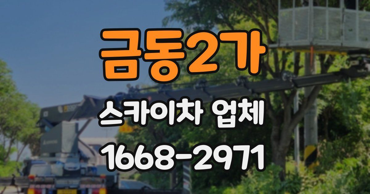 금동2가 스카이차 업체