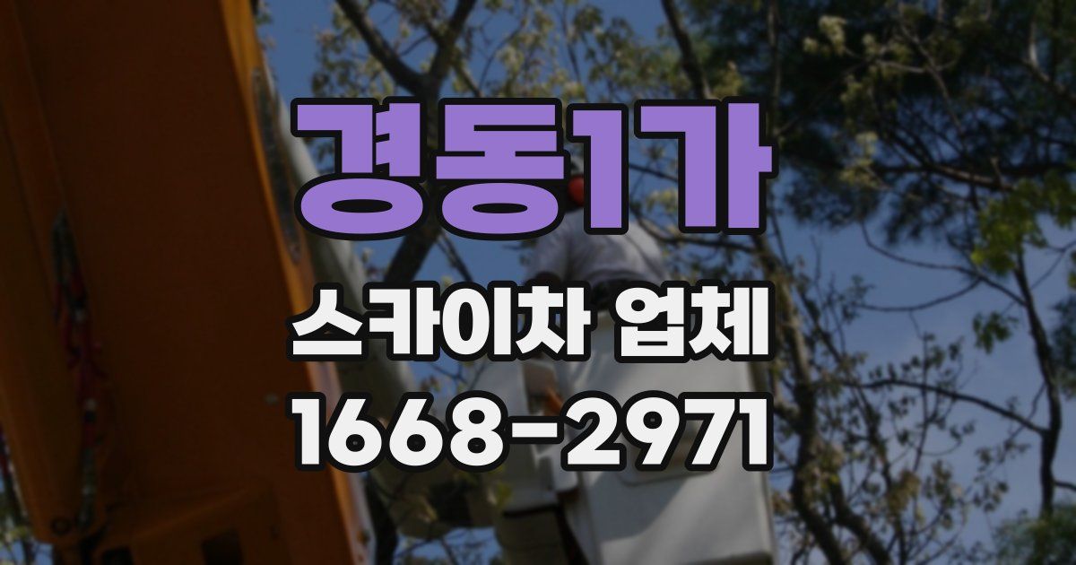 경동1가 스카이차 업체