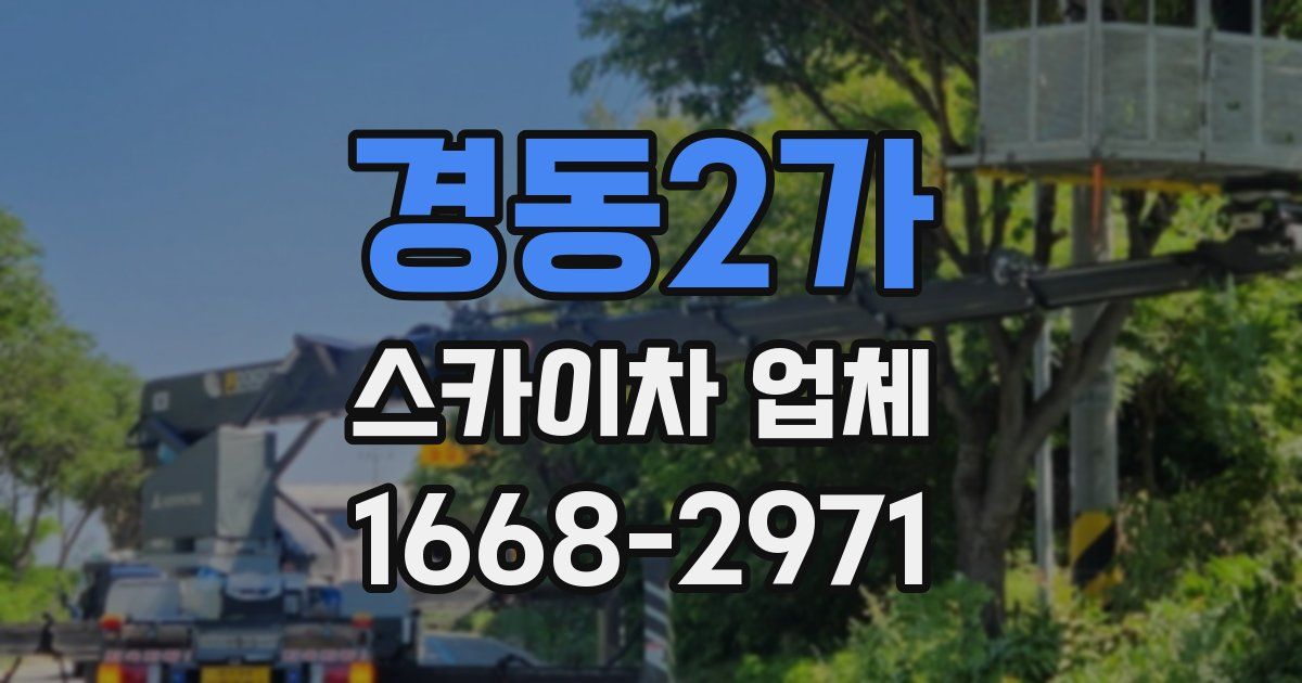 경동2가 스카이차 업체
