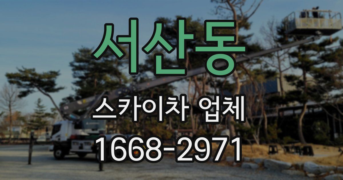 서산동 스카이차 업체
