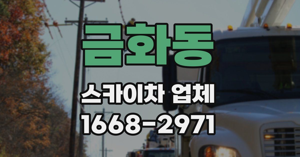 금화동 스카이차 업체
