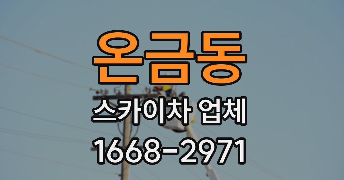 온금동 스카이차 업체