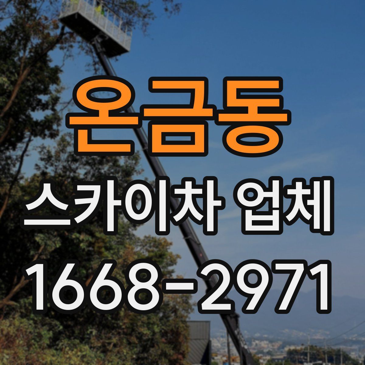 온금동 스카이차 업체