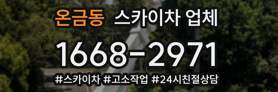온금동 스카이차 업체