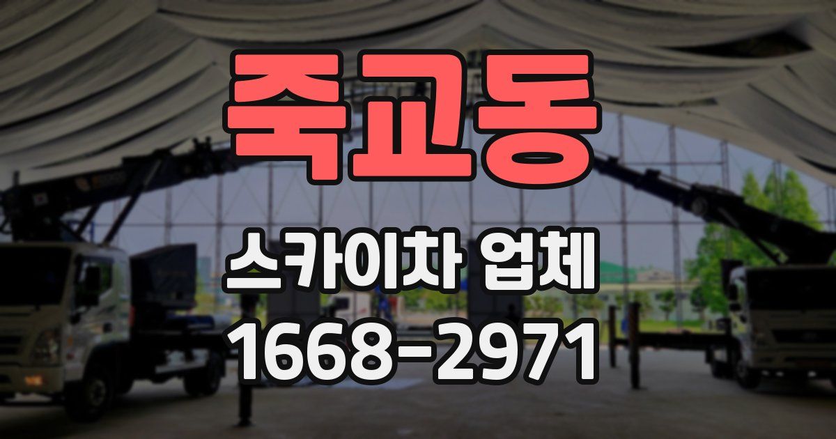 죽교동 스카이차 업체