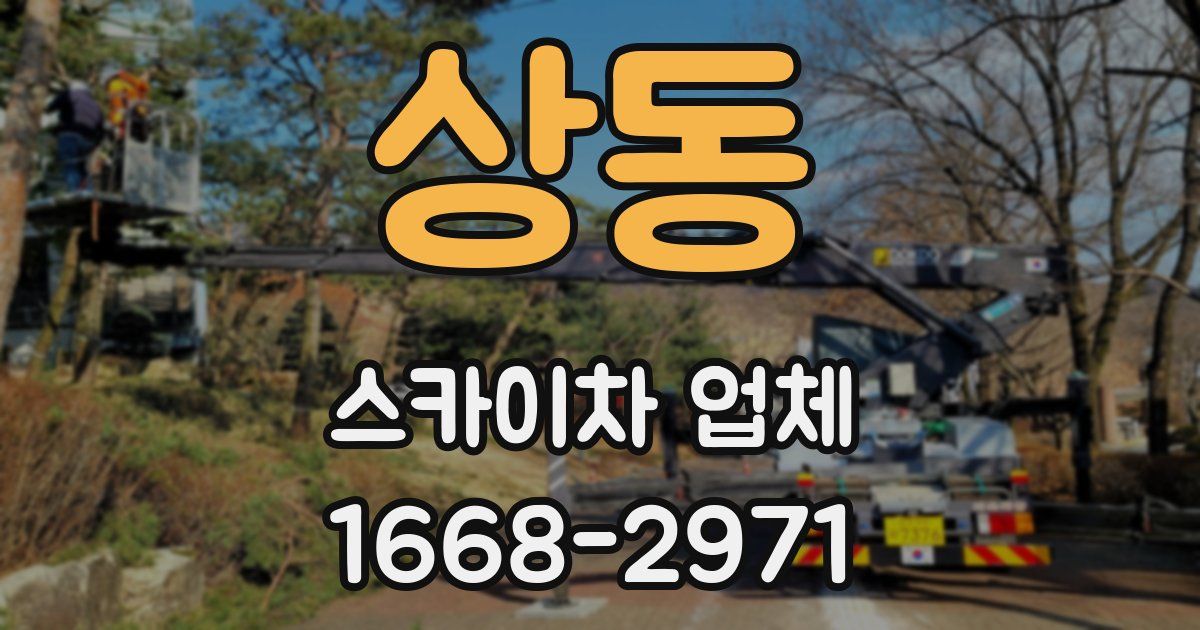 상동 스카이차 업체