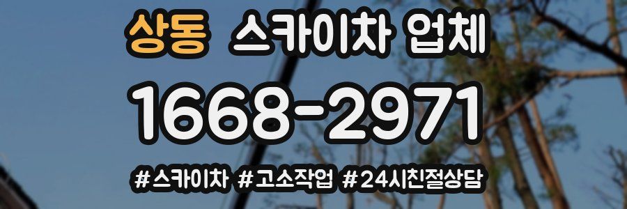상동 스카이차 업체