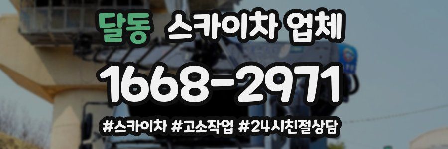달동 스카이차 업체