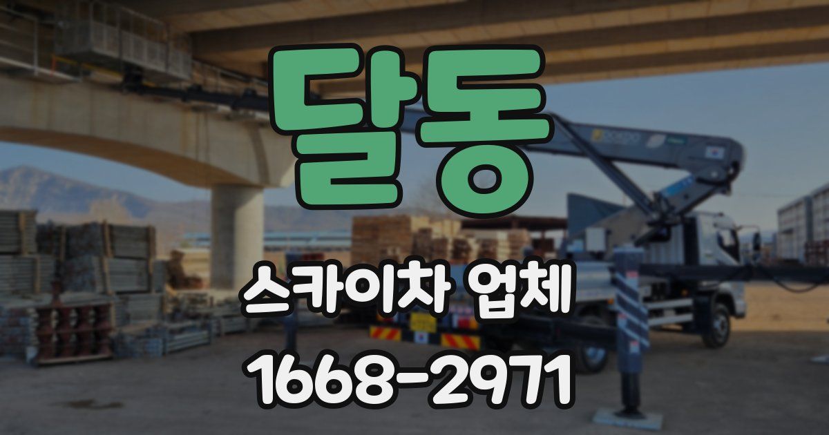 달동 스카이차 업체