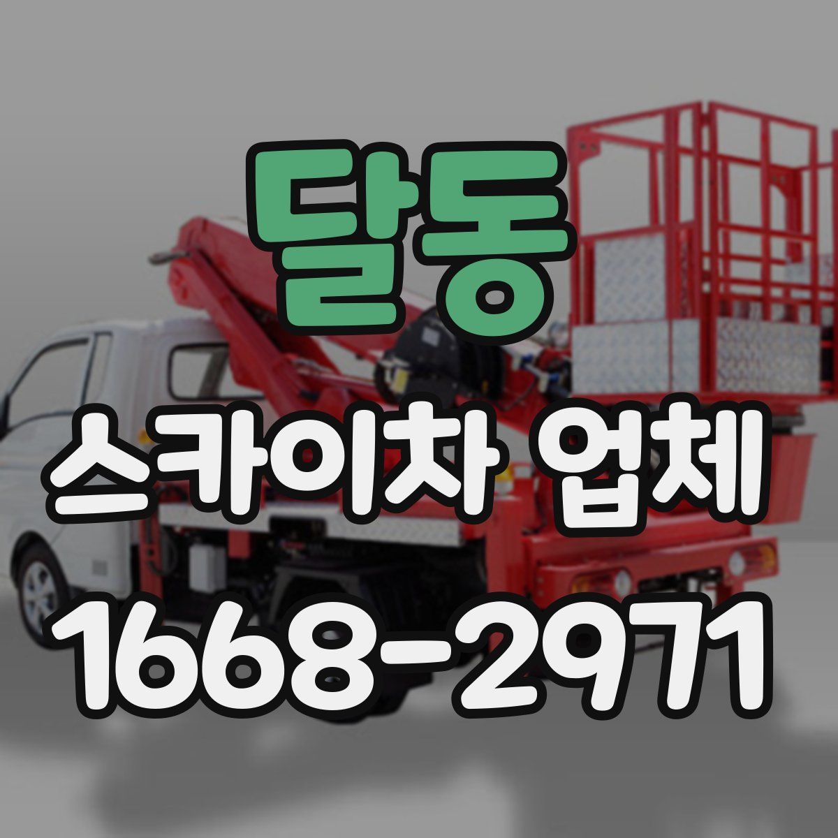 달동 스카이차 업체