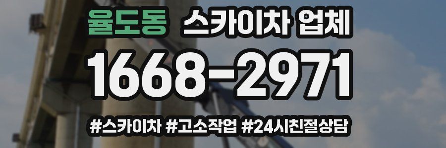 율도동 스카이차 업체