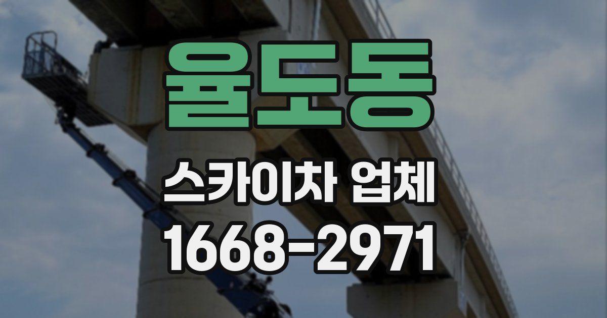 율도동 스카이차 업체