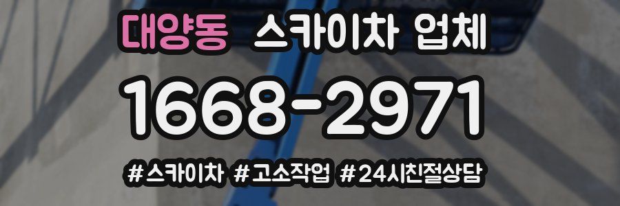 대양동 스카이차 업체