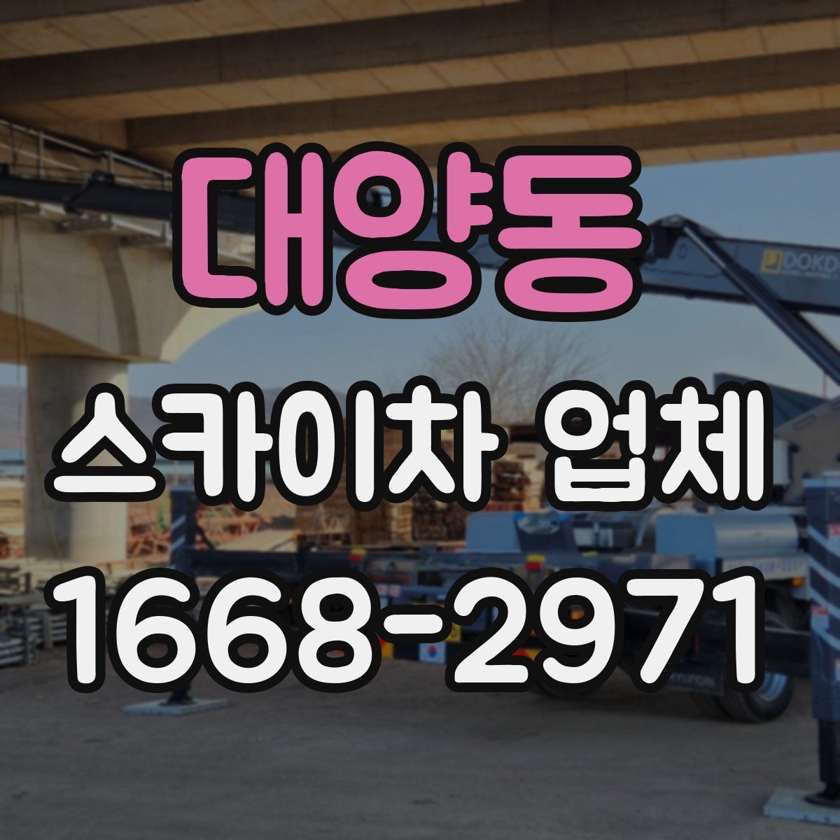 대양동 스카이차 업체