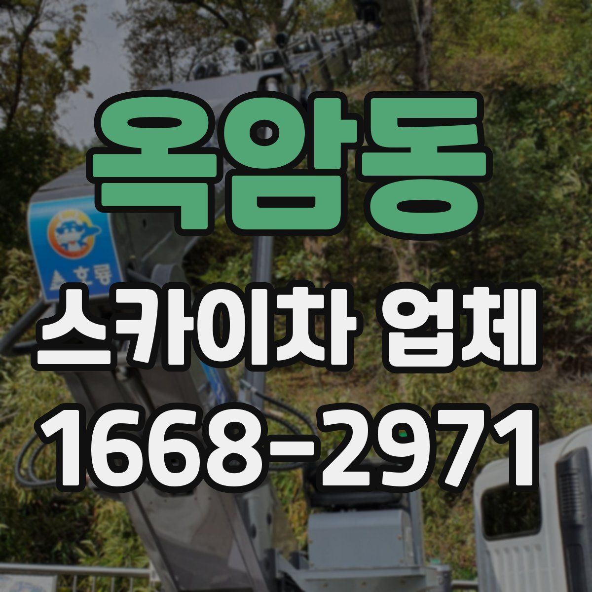 옥암동 스카이차 업체